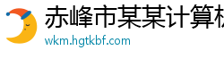 赤峰市某某计算机运营部